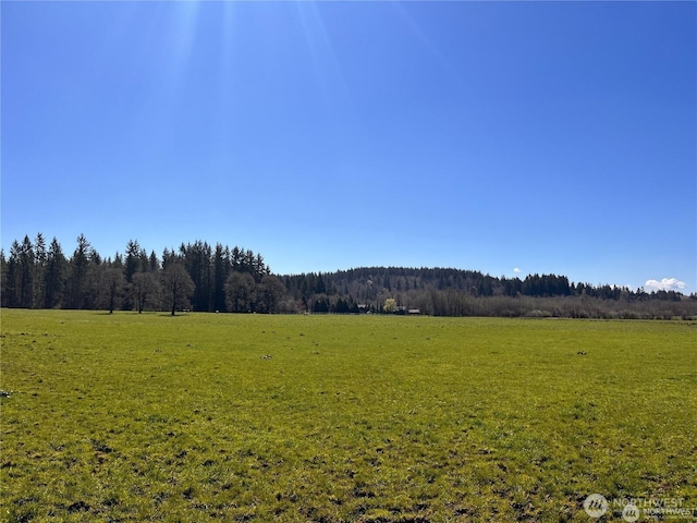 0 NE 212th Ave, Battle Ground, WA 98604 - photo 2