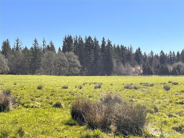 0 NE 212th Ave, Battle Ground, WA 98604 - photo 3