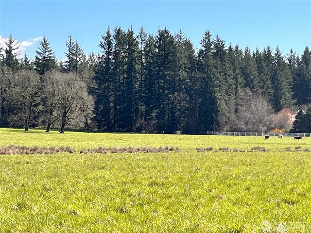 0 NE 212th Ave, Battle Ground, WA 98604 - photo 4