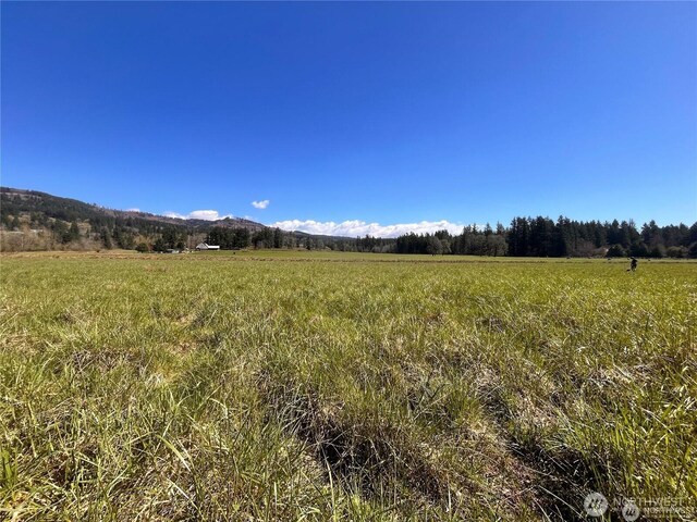0 NE 212th Ave, Battle Ground, WA 98604 - photo 10