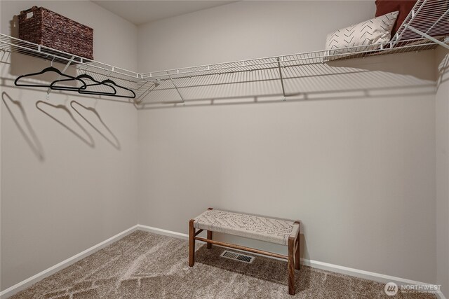 spacious closet with carpet floors and visible vents