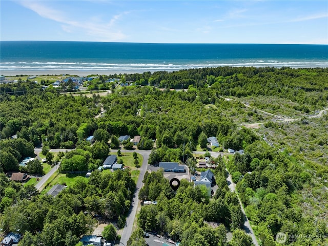37 Butterfly Ln, Pacific Beach, WA 98571 - bird's eye view with a water view