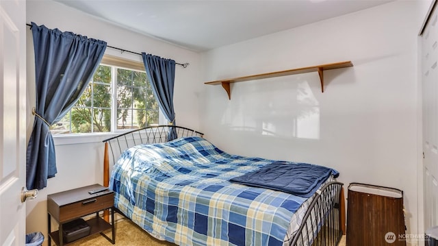 25025 SE Klahanie Blvd Unit L104, Sammamish, WA 98029 - view of carpeted bedroom