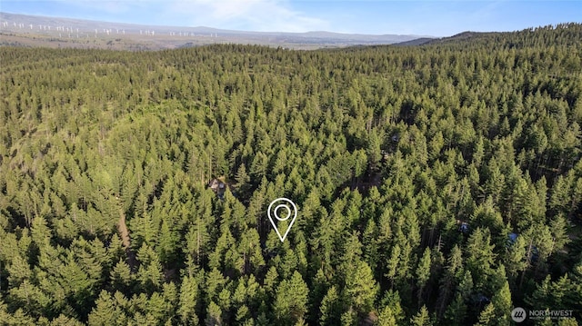 1570 Skull Springs Rd, Cle Elum, WA 98922 - bird's eye view of a forest and a mountain backdrop