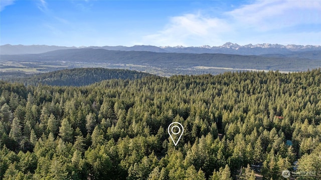 1570 Skull Springs Rd, Cle Elum, WA 98922 - mountain view featuring a heavily wooded area