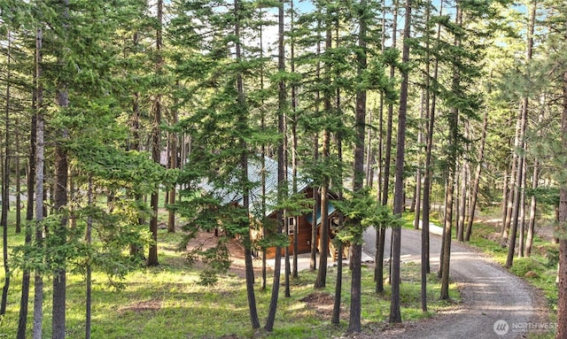 1570 Skull Springs Rd, Cle Elum, WA 98922 - view of woods