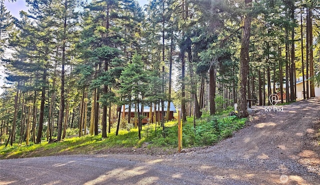 1570 Skull Springs Rd, Cle Elum, WA 98922 - view of dirt / gravel road featuring a wooded view