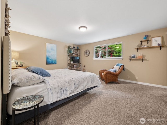 12430 136th Ave E, Puyallup, WA 98374 - photo 11