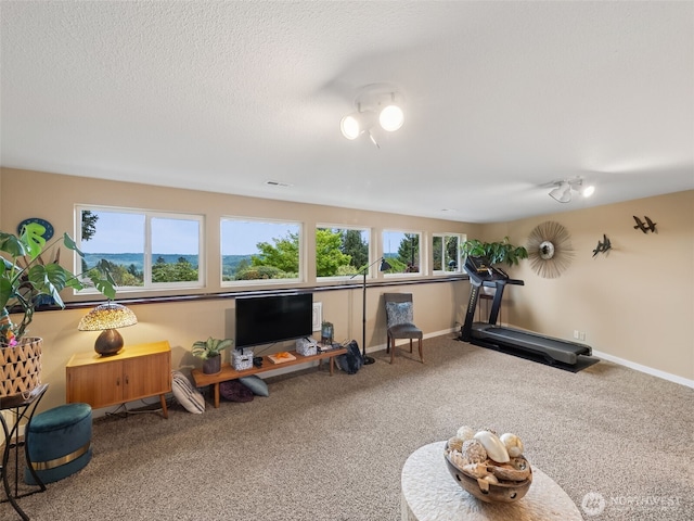 12430 136th Ave E, Puyallup, WA 98374 - photo 19