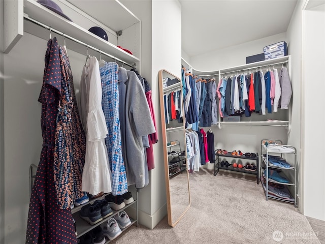 6588 Serenity Loop, Gig Harbor, WA 98335 - walk in closet with carpet floors