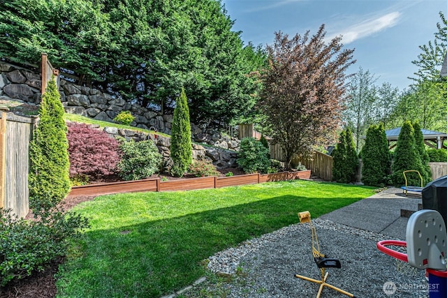 view of yard featuring a patio and a fenced backyard