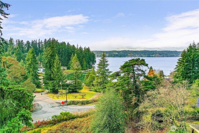 16778 Lemolo Shore Dr NE, Poulsbo, WA 98370 - photo 9