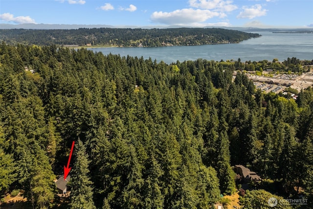 18265 47th Pl NE, Lake Forest Park, WA 98155 - aerial overview of property's location featuring a heavily wooded area and a nearby body of water