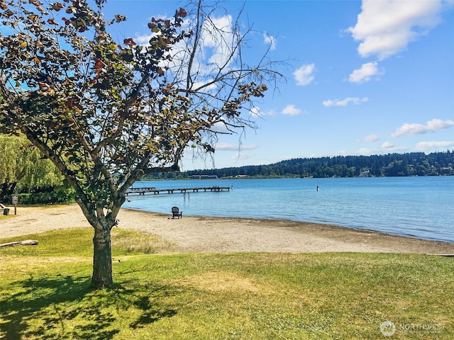 18265 47th Pl NE, Lake Forest Park, WA 98155 - water view