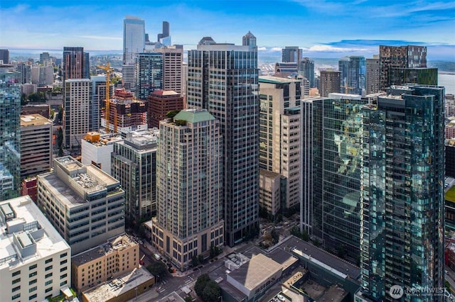 819 Virginia St Unit 3006, Seattle, WA 98101 - city view