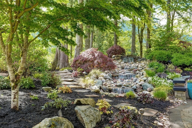 46707 SE 156th Pl, North Bend, WA 98045 - view of undeveloped land