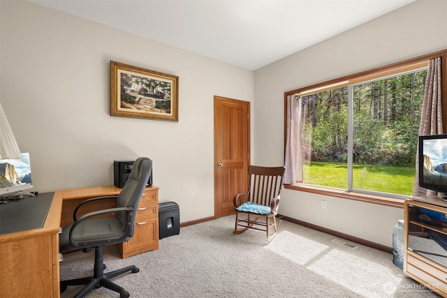 425 400th St S, Roy, WA 98580 - photo 22