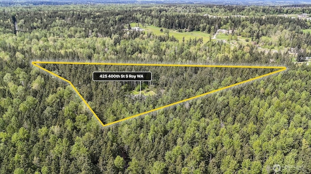 425 400th St S, Roy, WA 98580 - photo 29
