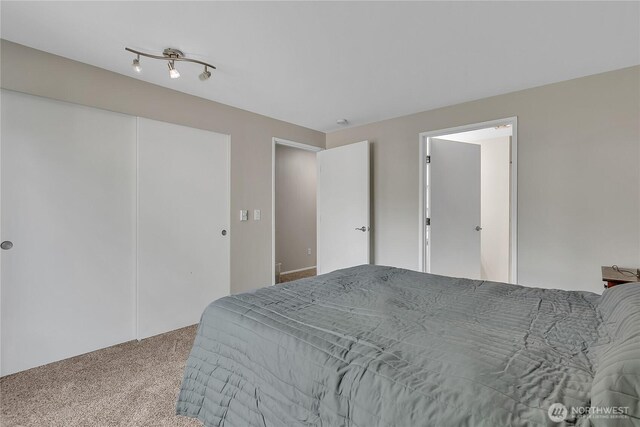 bedroom with a closet and carpet