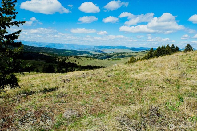 0TBD Janet Marie Rd, Oroville, WA 98844 - photo 3