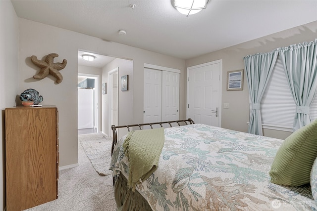 501 Shoreview Dr S Unit 204, Long Beach, WA 98631 - bedroom with baseboards, a closet, and carpet