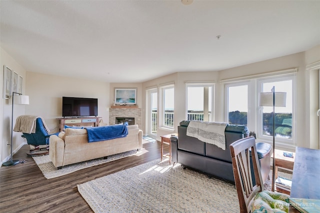 501 Shoreview Dr S Unit 204, Long Beach, WA 98631 - living area featuring baseboards, dark wood-style flooring, and a fireplace
