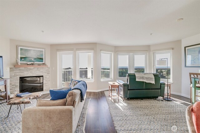 501 Shoreview Dr S Unit 204, Long Beach, WA 98631 - living room with a wealth of natural light, wood finished floors, baseboards, and a glass covered fireplace