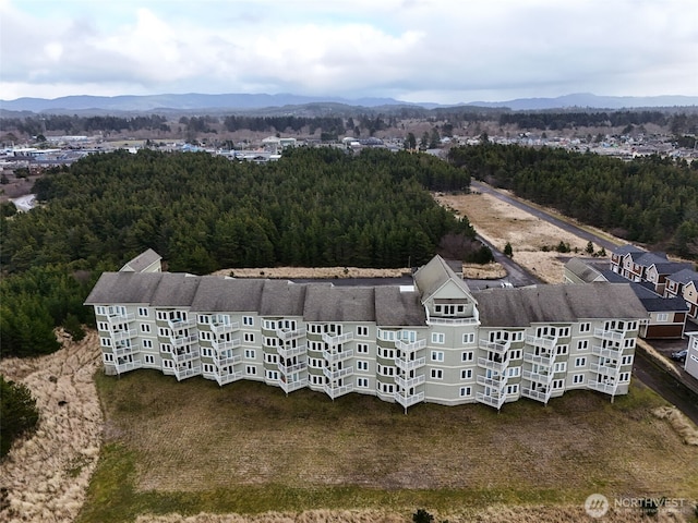 501 Shoreview Dr S Unit 204, Long Beach, WA 98631 - bird's eye view with a mountain view and a view of trees