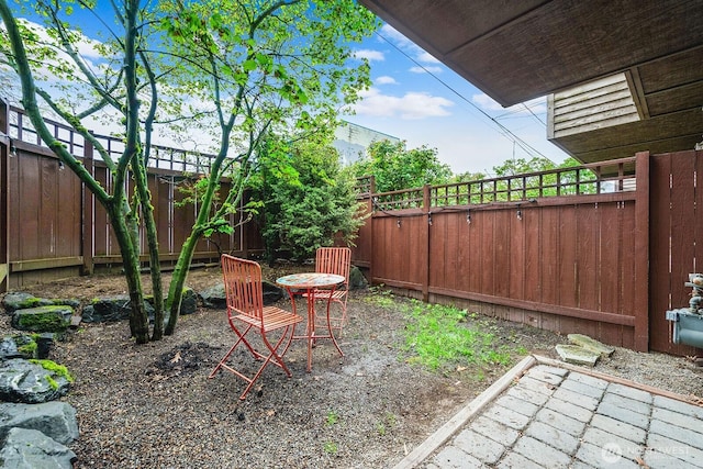 view of yard featuring a patio and a fenced backyard