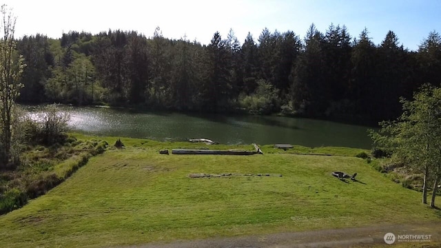 2025 Panama Ave, Hoquiam, WA 98550 - photo 35