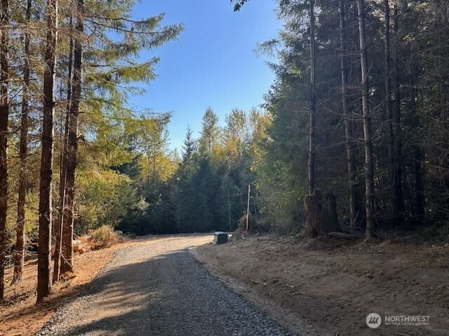 0 Misty Hill Dr Unit 1 & 2, Toutle, WA 98649