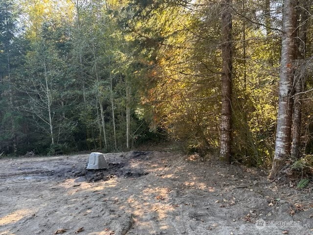 0 Misty Hill Dr Unit 1 & 2, Toutle, WA 98649