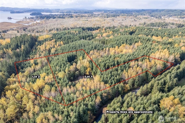 0 Misty Hill Dr Unit 1 & 2, Toutle, WA 98649