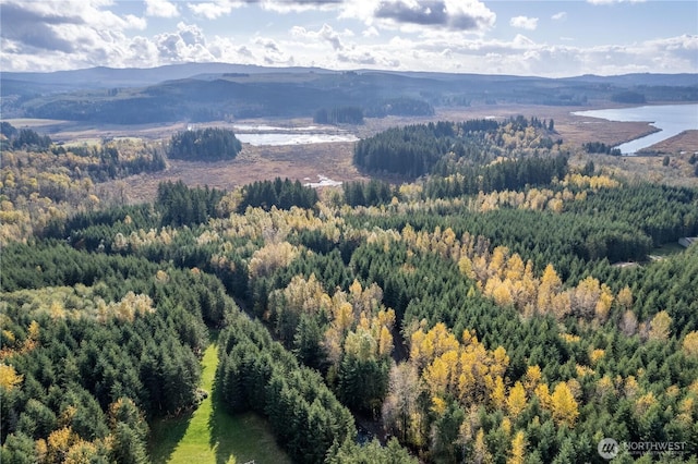 0 Misty Hill Dr Unit 1 & 2, Toutle, WA 98649