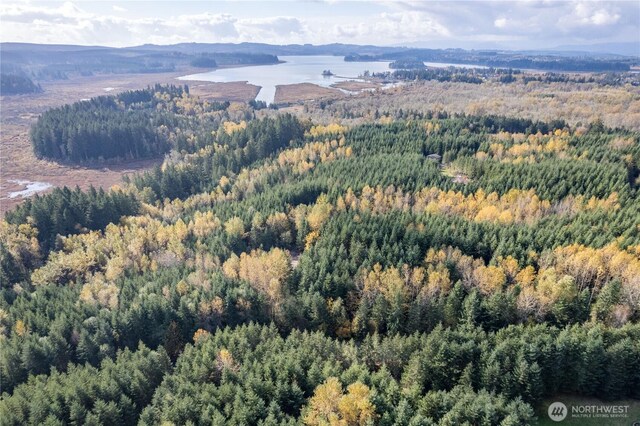 0 Misty Hill Dr Unit 1 & 2, Toutle, WA 98649