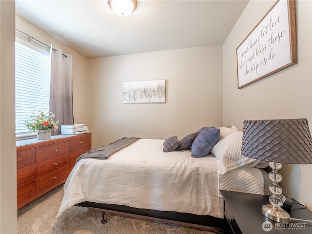 1974 Legendary Ln SE, East Wenatchee, WA 98802 - bedroom with carpet flooring