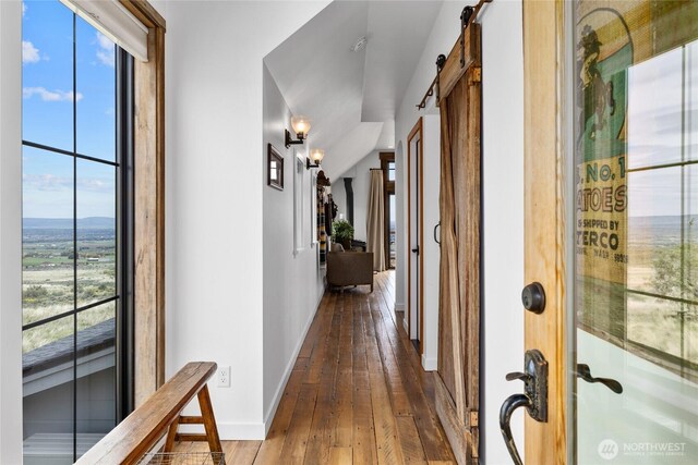 hallway featuring baseboards, a wealth of natural light, and hardwood / wood-style flooring