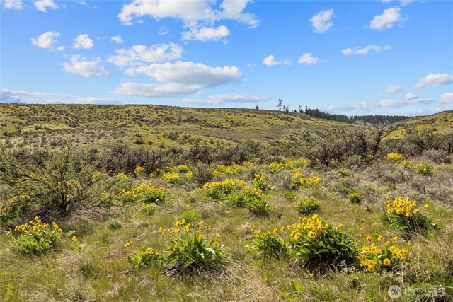 view of landscape