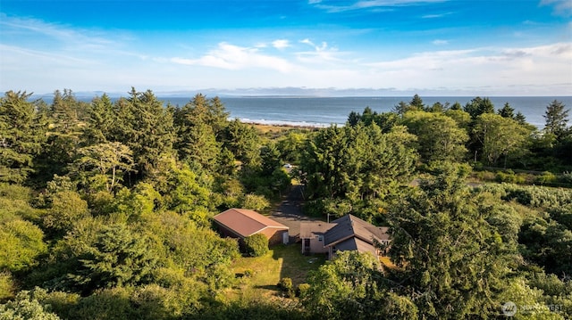 3756 State Route 105, Tokeland, WA 98590 - photo 1
