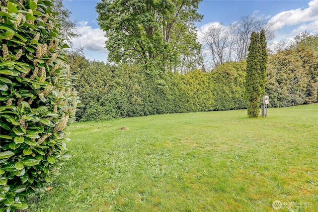 8760 State Highway 303 NE Unit C, Bremerton, WA 98311 - view of yard