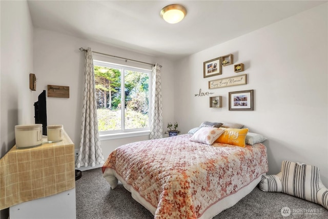 464 Dolphin Ave NE, Ocean Shores, WA 98569 - view of carpeted bedroom
