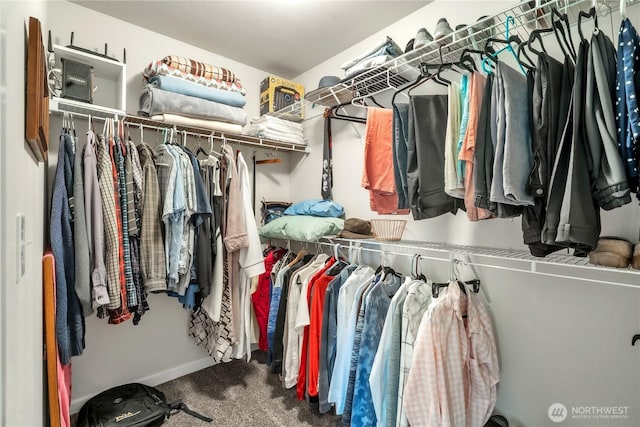 464 Dolphin Ave NE, Ocean Shores, WA 98569 - spacious closet with carpet flooring