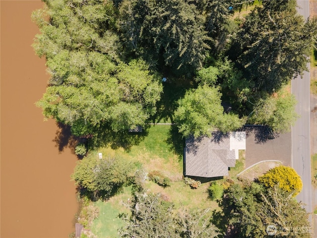 464 Dolphin Ave NE, Ocean Shores, WA 98569 - birds eye view of property