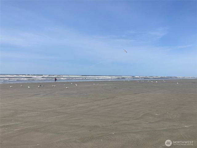 464 Dolphin Ave NE, Ocean Shores, WA 98569 - water view with a beach view