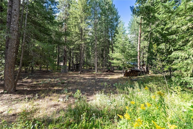 43 Arnica Ln, Twisp, WA 98856 - view of wooded area