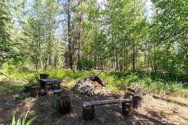 43 Arnica Ln, Twisp, WA 98856 - view of yard featuring a wooded view