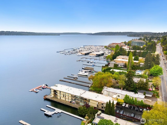 drone / aerial view with a water view