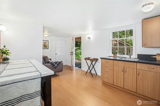 10515 NE 189th St, Bothell, WA 98011 - kitchen featuring a sink, light wood finished floors, and dark countertops