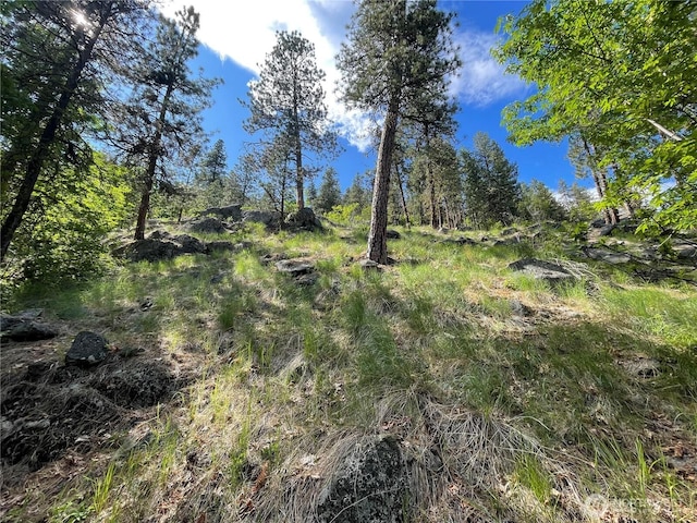 0 Icicle Rd, Leavenworth, WA 98826 - photo 3