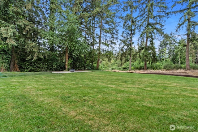 3835 S 316th St, Auburn, WA 98001 - photo 35